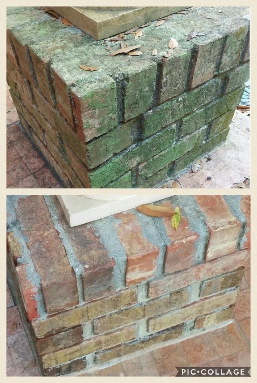 Expertise in Various Services's image